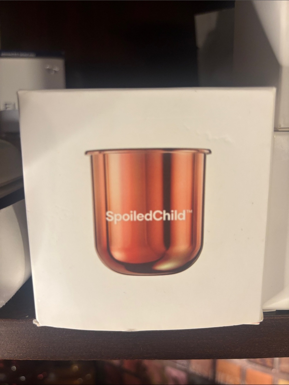 Spoiled Copper-Tone Glass Accent Vase by Spoiled